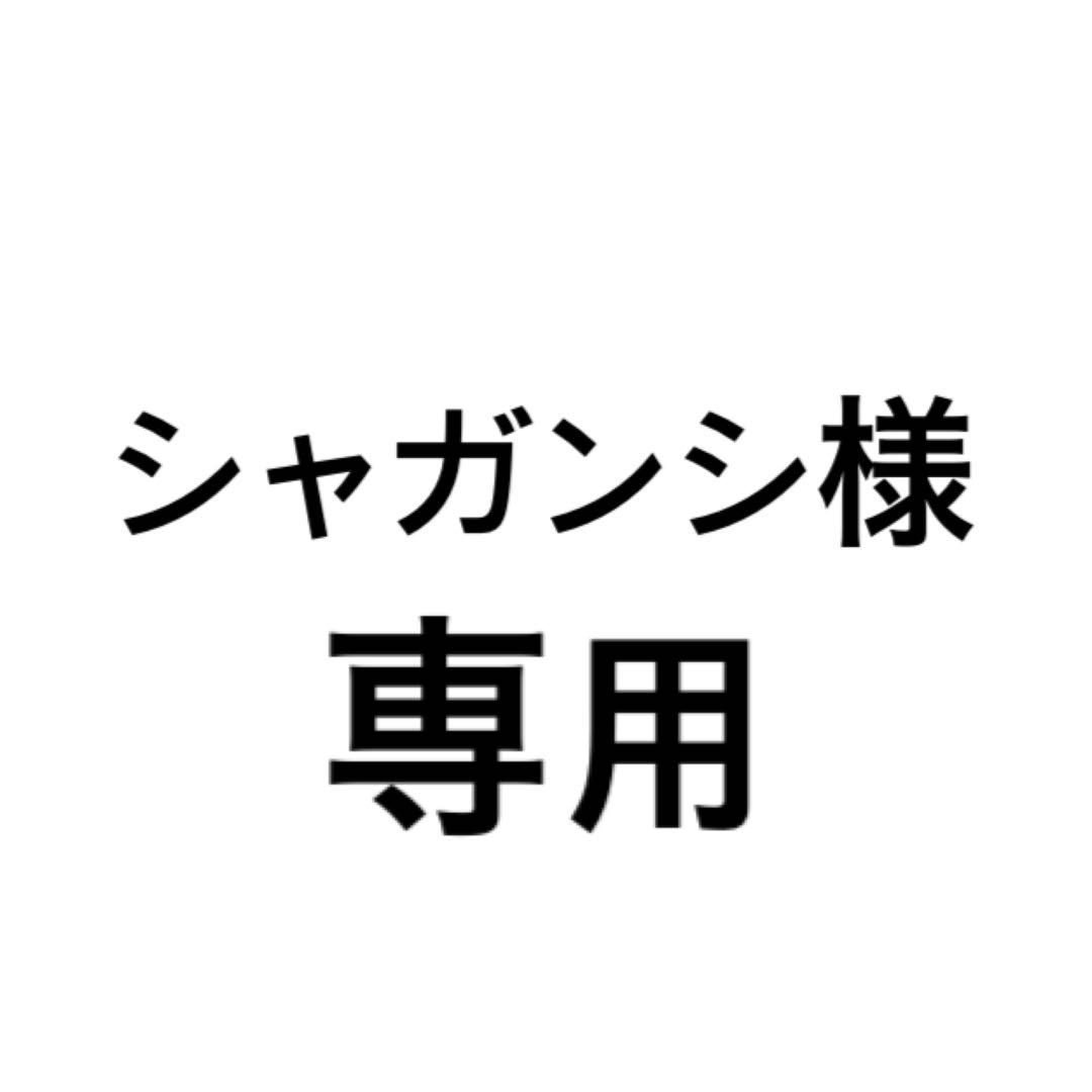 シャガンシページ