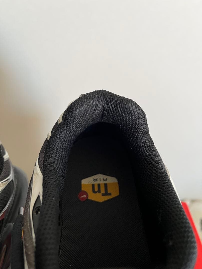 ナイキ　エアマックスプラスtn