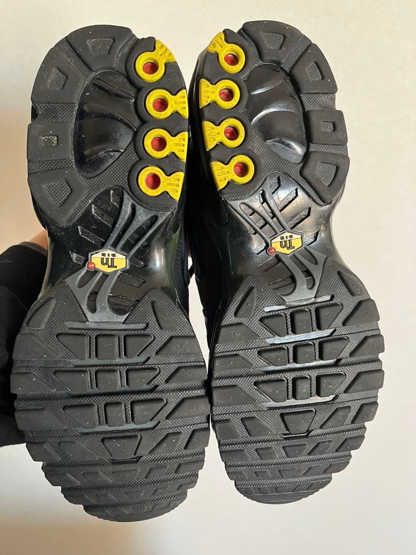 ナイキ　エアマックスプラスtn