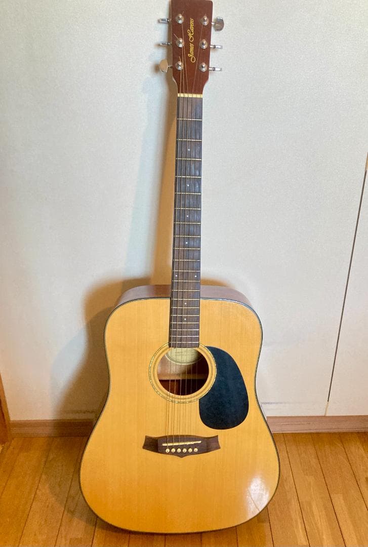 James Havens アコースティックギター