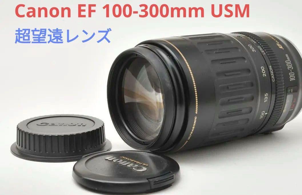 2月11日限定価格♪Canon EF 100-300mm F4.5-5.6