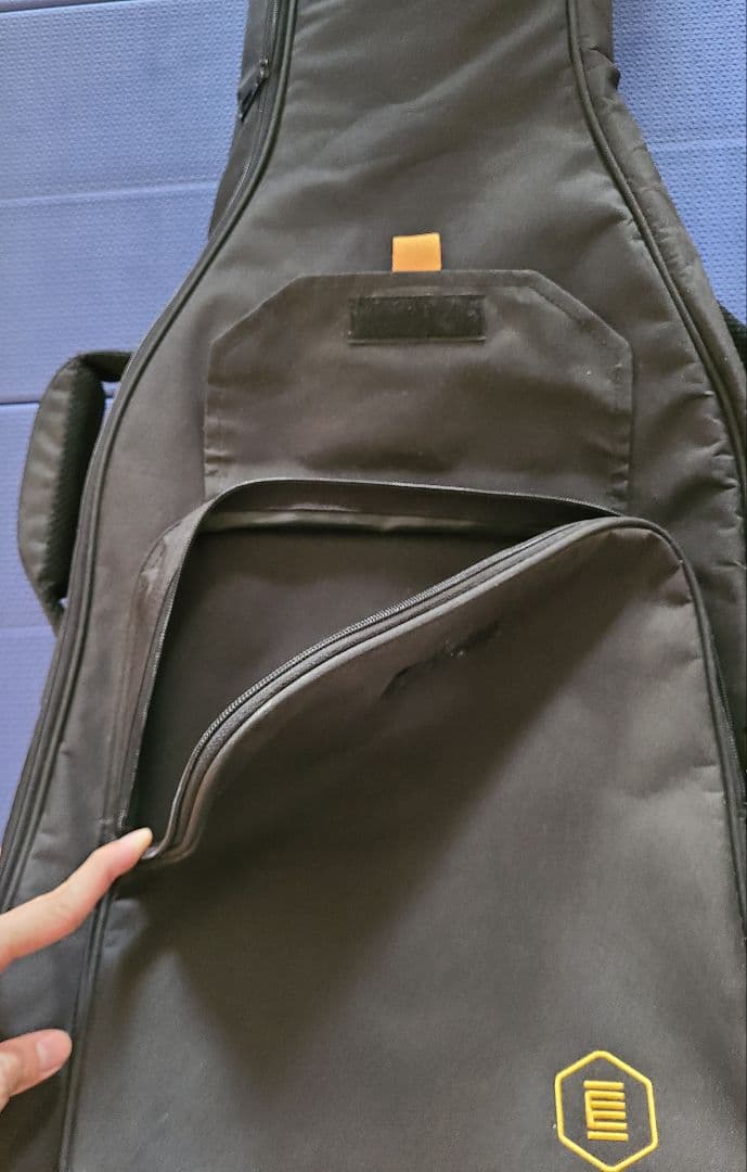 アコースティックギター HEX F100 M ケース付き 美品