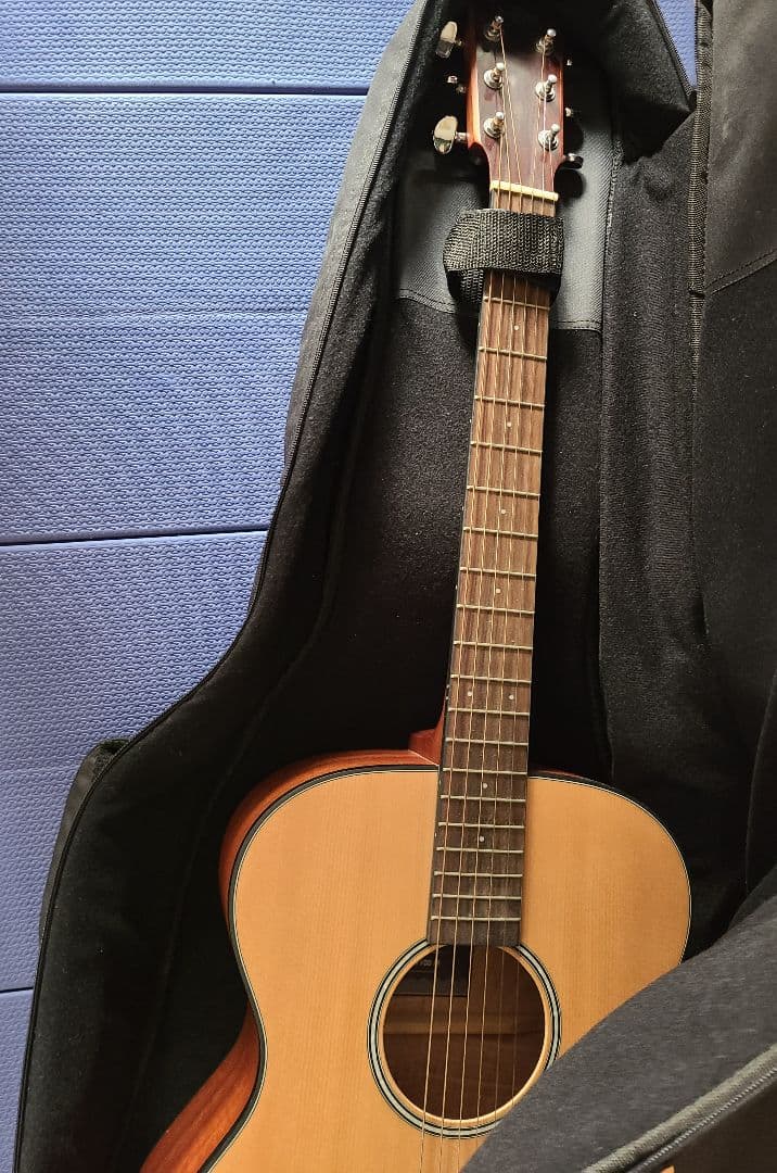 アコースティックギター HEX F100 M ケース付き 美品