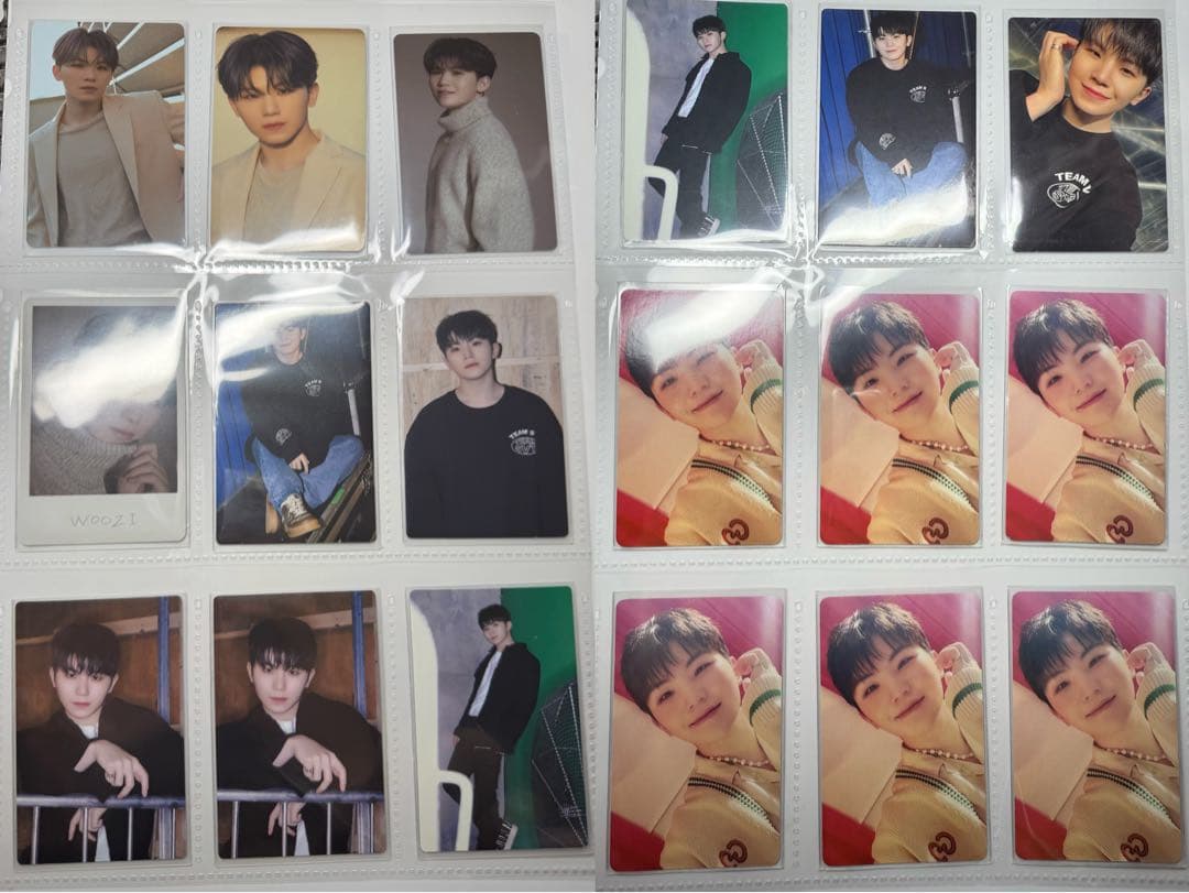 ウジ まとめ売り