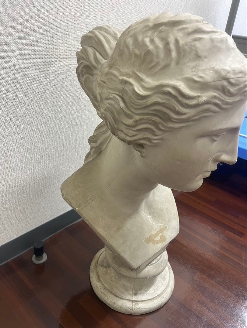 ヴィーナス 石膏像 胸像 顔 美術