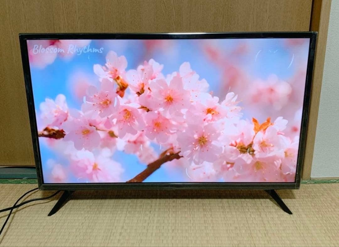 Hisense 32型 液晶テレビ 地上波 2019年製✨裏番組録画