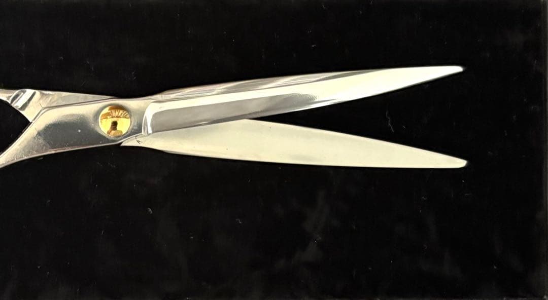 アルファシザーsg6.5