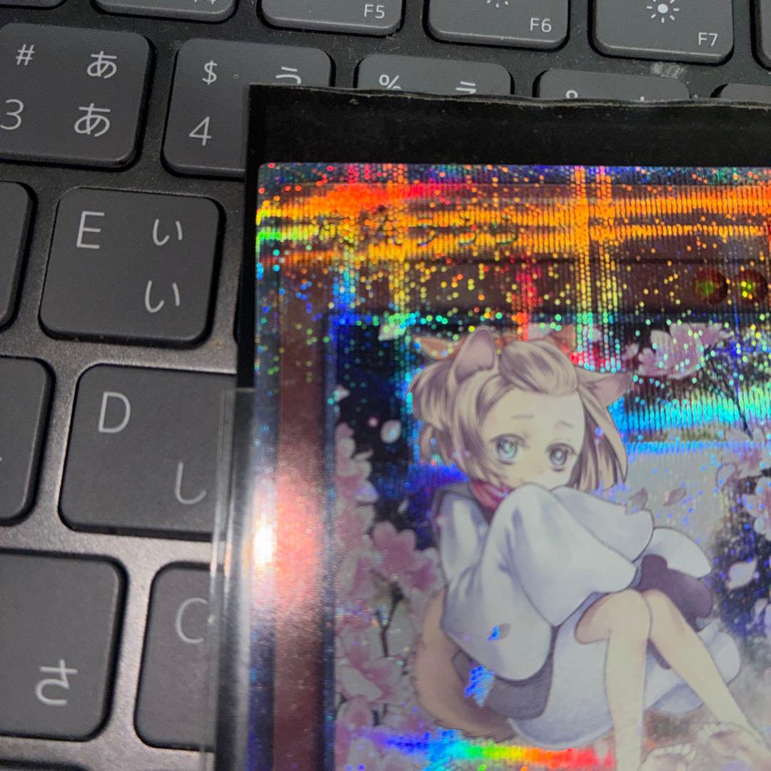 灰流うらら はるうらら　25th 絵違い　クオシク 遊戯王