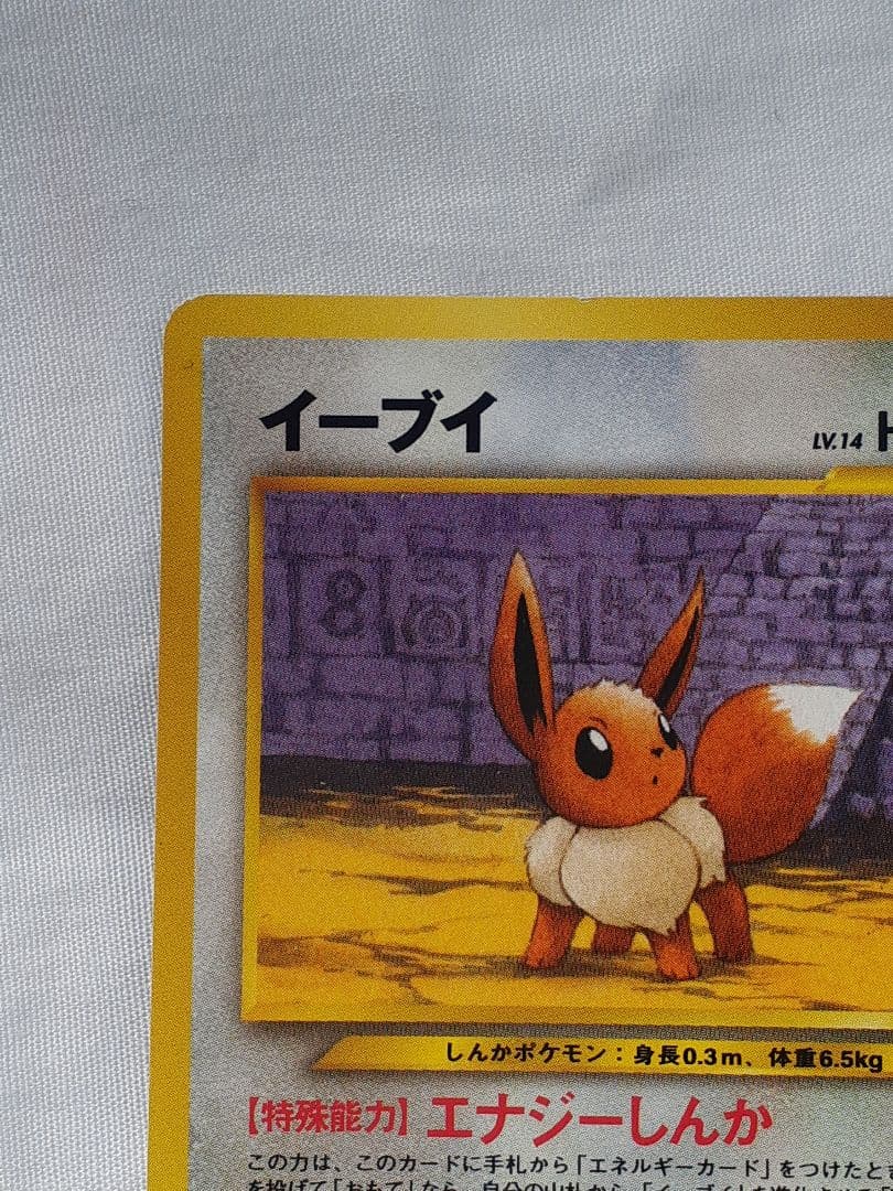 ポケモンカード旧裏 イーブイ、遺跡を越えて 未使用、美品