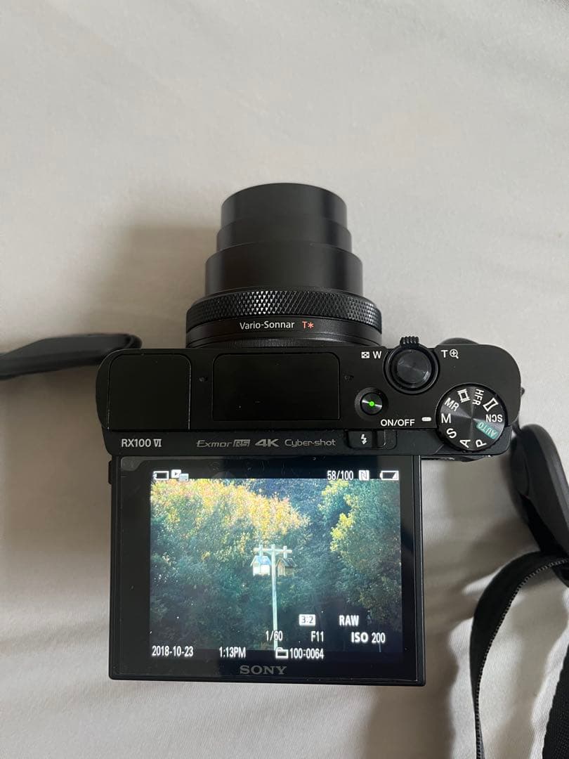 SONY DSC-RX100M6 おまけ多数