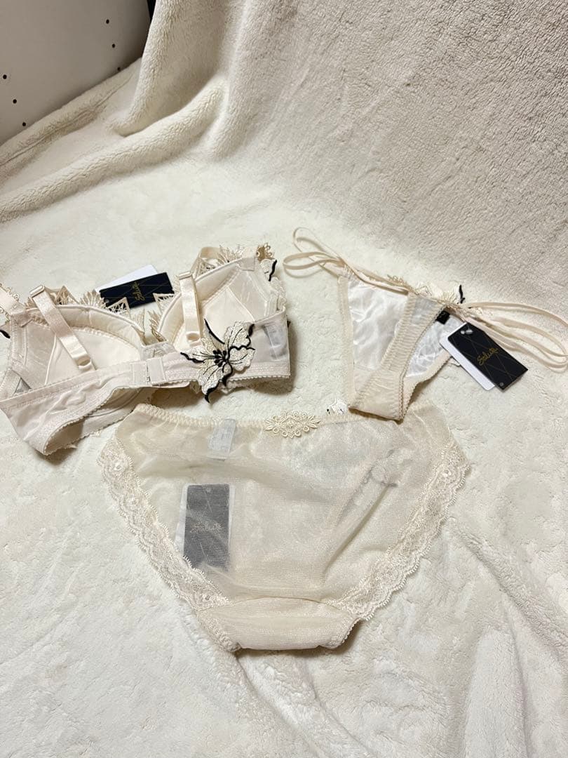 SaluteサルートブラジャーD65ショーツMセット