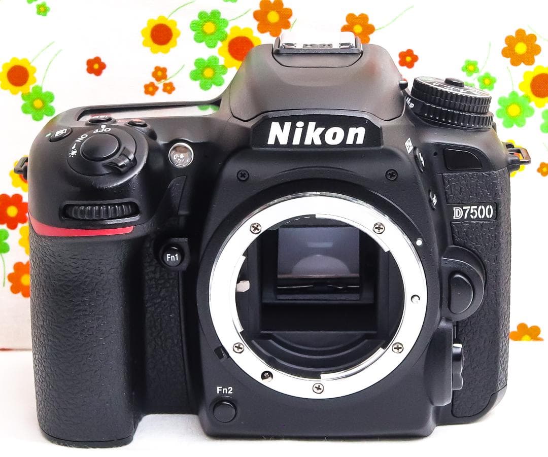 ニコン Nikon D7500☆Wi-Fi搭載＆高速性能☆ダブルレンズ！