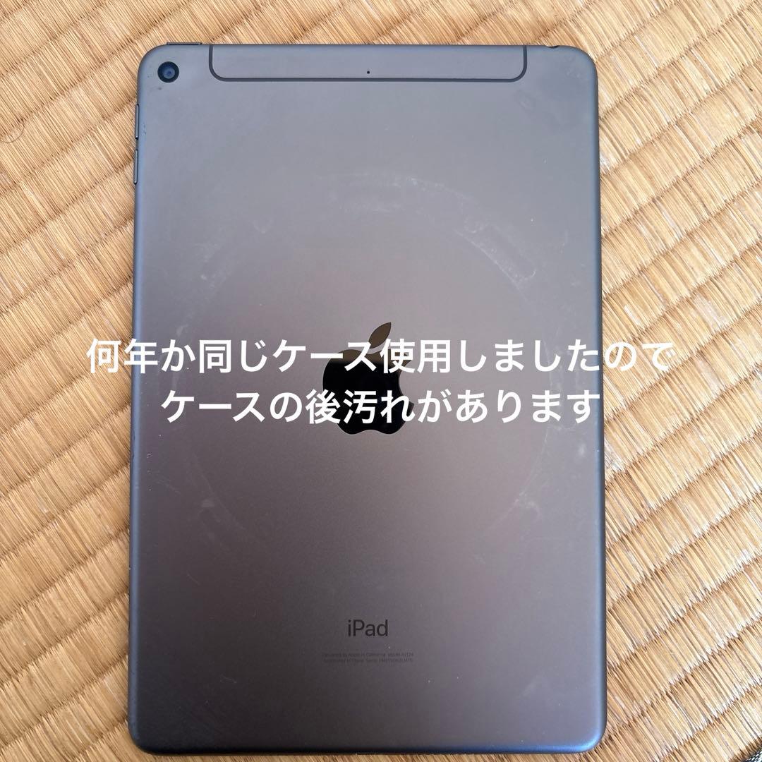 iPad本体 Apple iPad mini (5th generation) 256GB