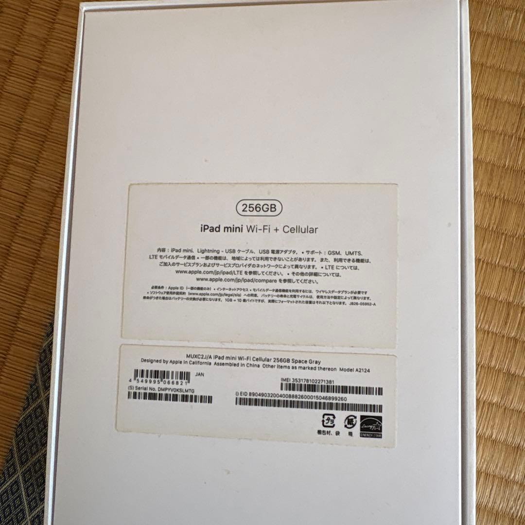 iPad本体 Apple iPad mini (5th generation) 256GB
