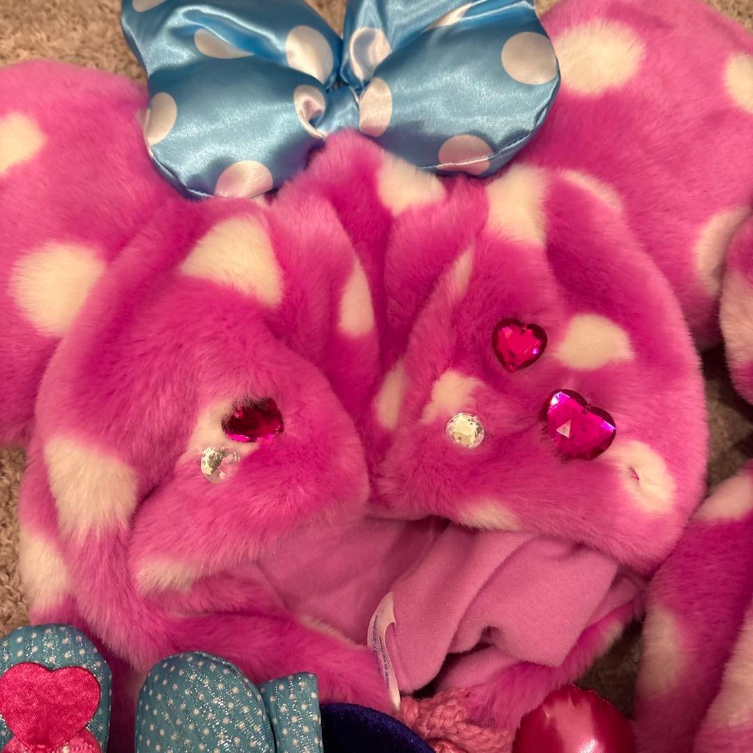 ミニーパルパルーザ ファンダーランド ファンキャップ ショルダーバッグ4点セット