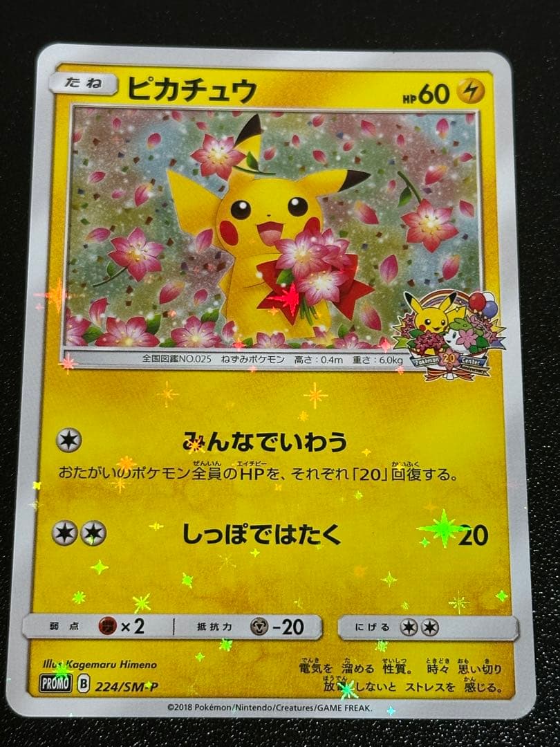 ピカチュウ 224