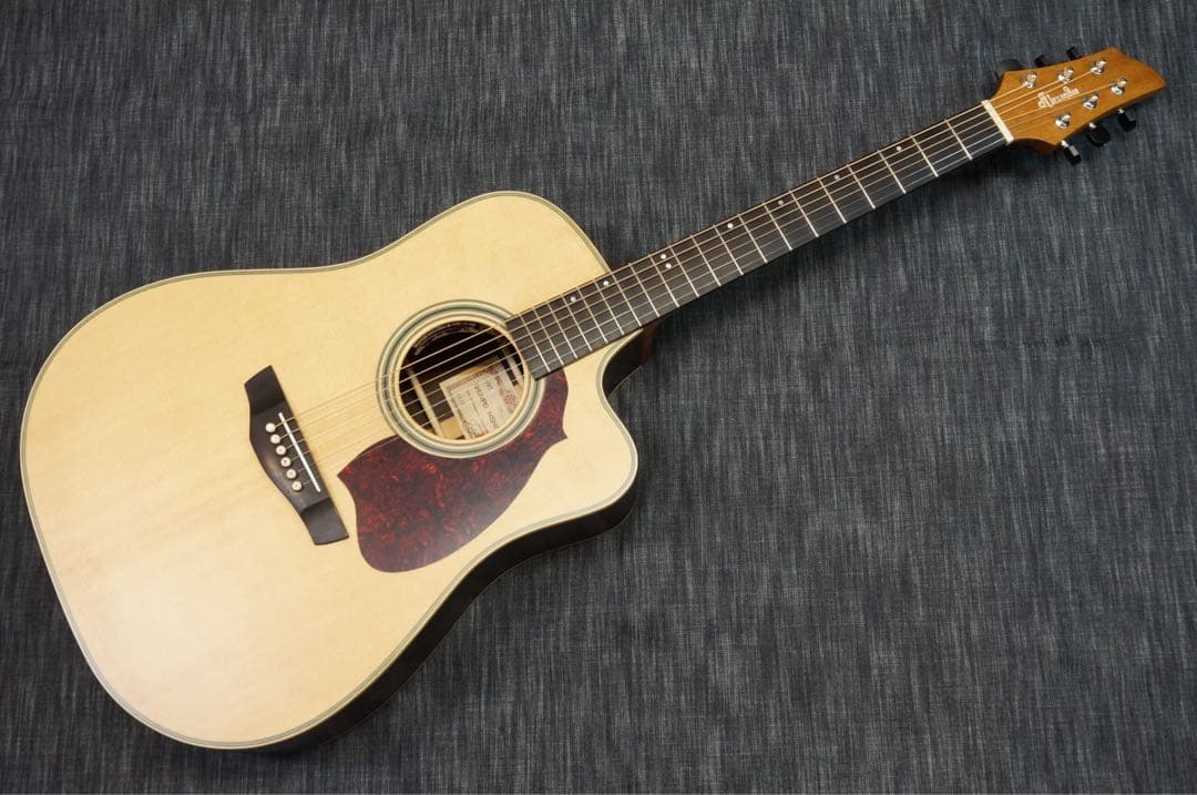 西野春平 アコースティックギター