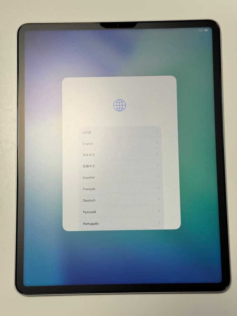 12.9\" iPad Pro 第6世代 Wi-Fi 128GB シルバー 整備済