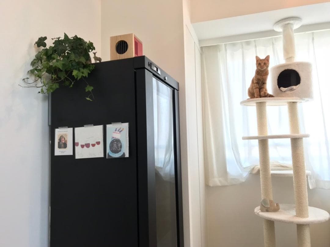 今大人気の空気清浄機　J.air ジェイエアー