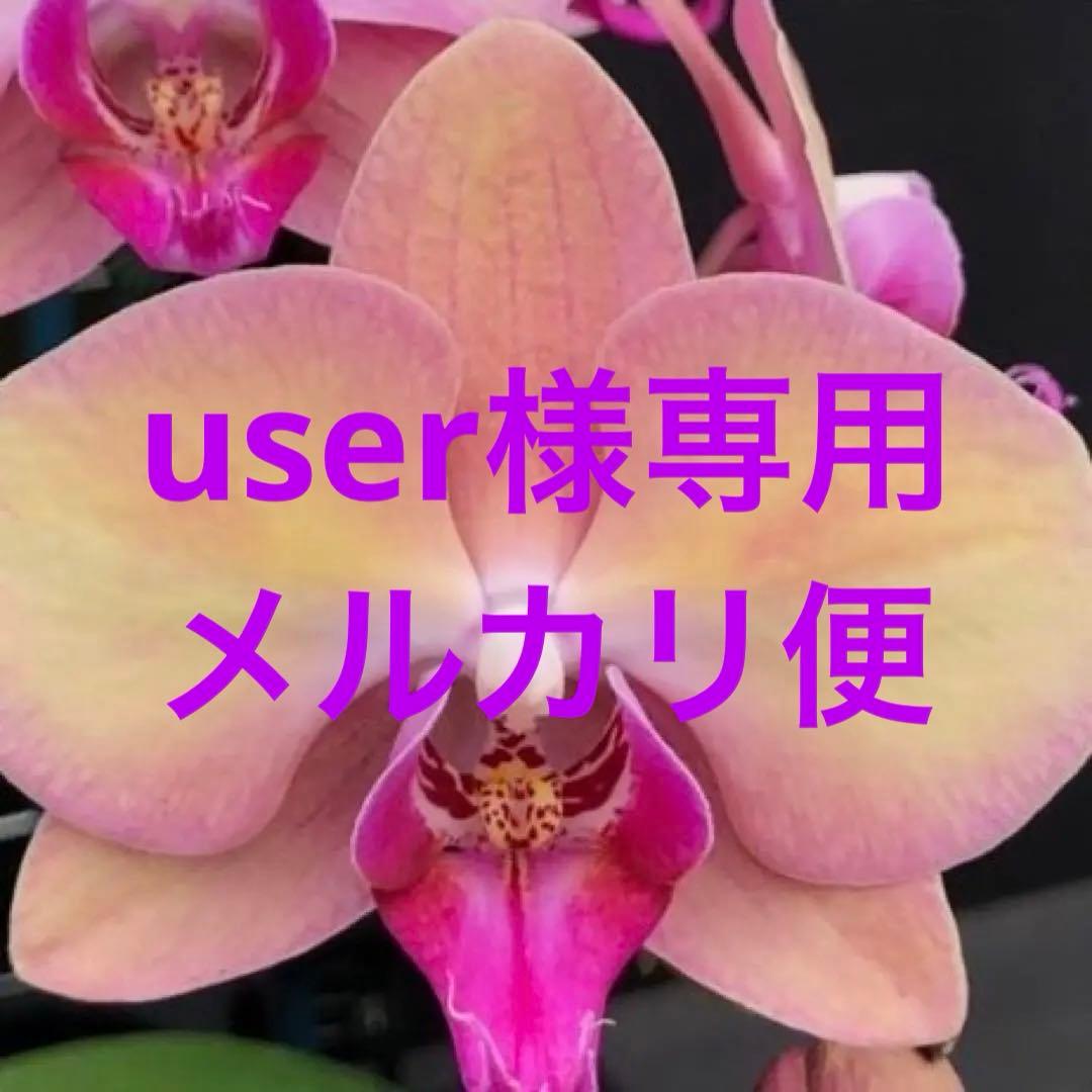 user_ee23f7bd様 リクエスト 3点 まとめ商品　メルカリ便