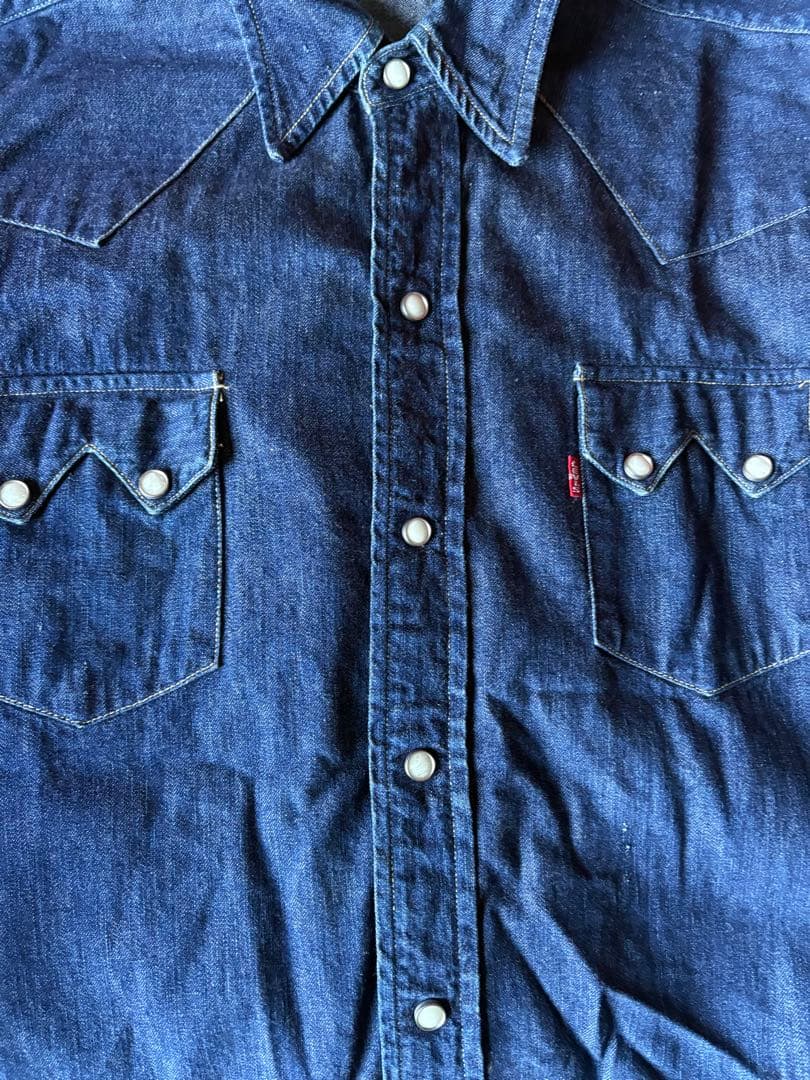 バレンシア ショートホーンシャツ 48