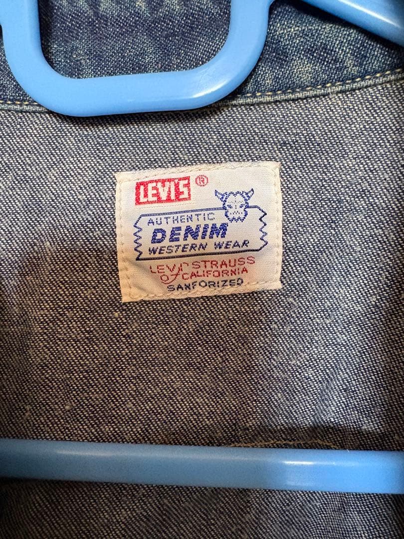 バレンシア ショートホーンシャツ 48