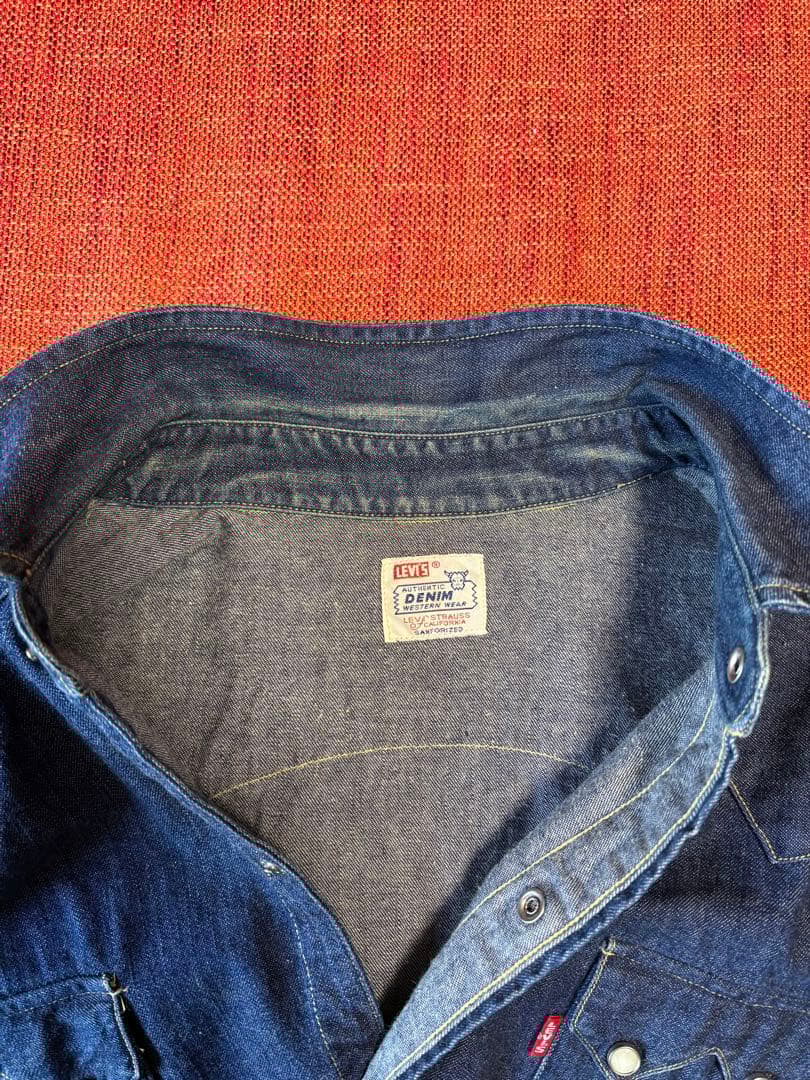 バレンシア ショートホーンシャツ 48