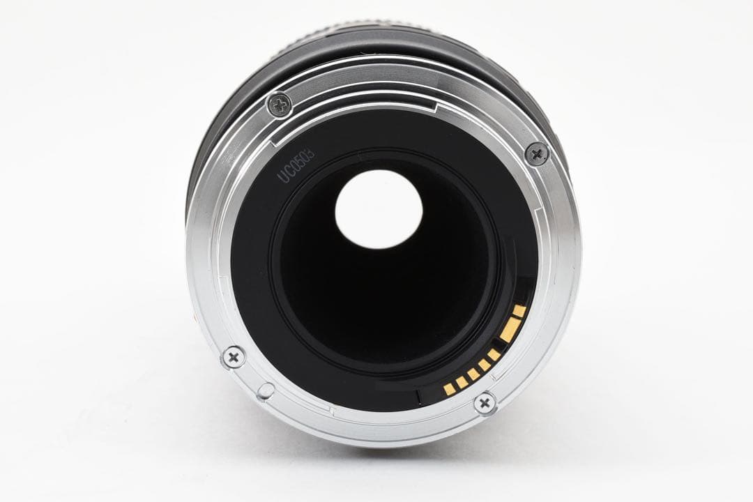 Canon EF 100-300mm ズームレンズ/キヤノンEFマウント