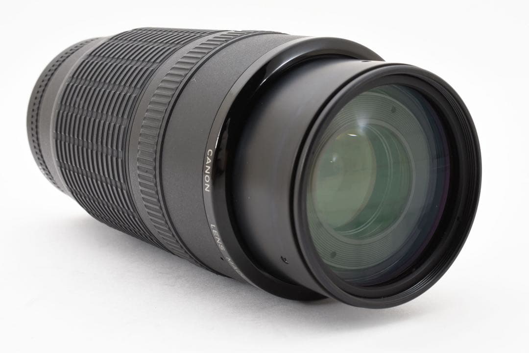 Canon EF 100-300mm ズームレンズ/キヤノンEFマウント