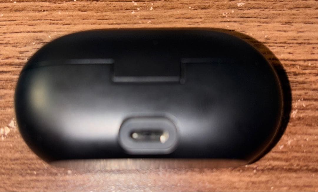 Beats Solo Buds ※ソフトケース付き