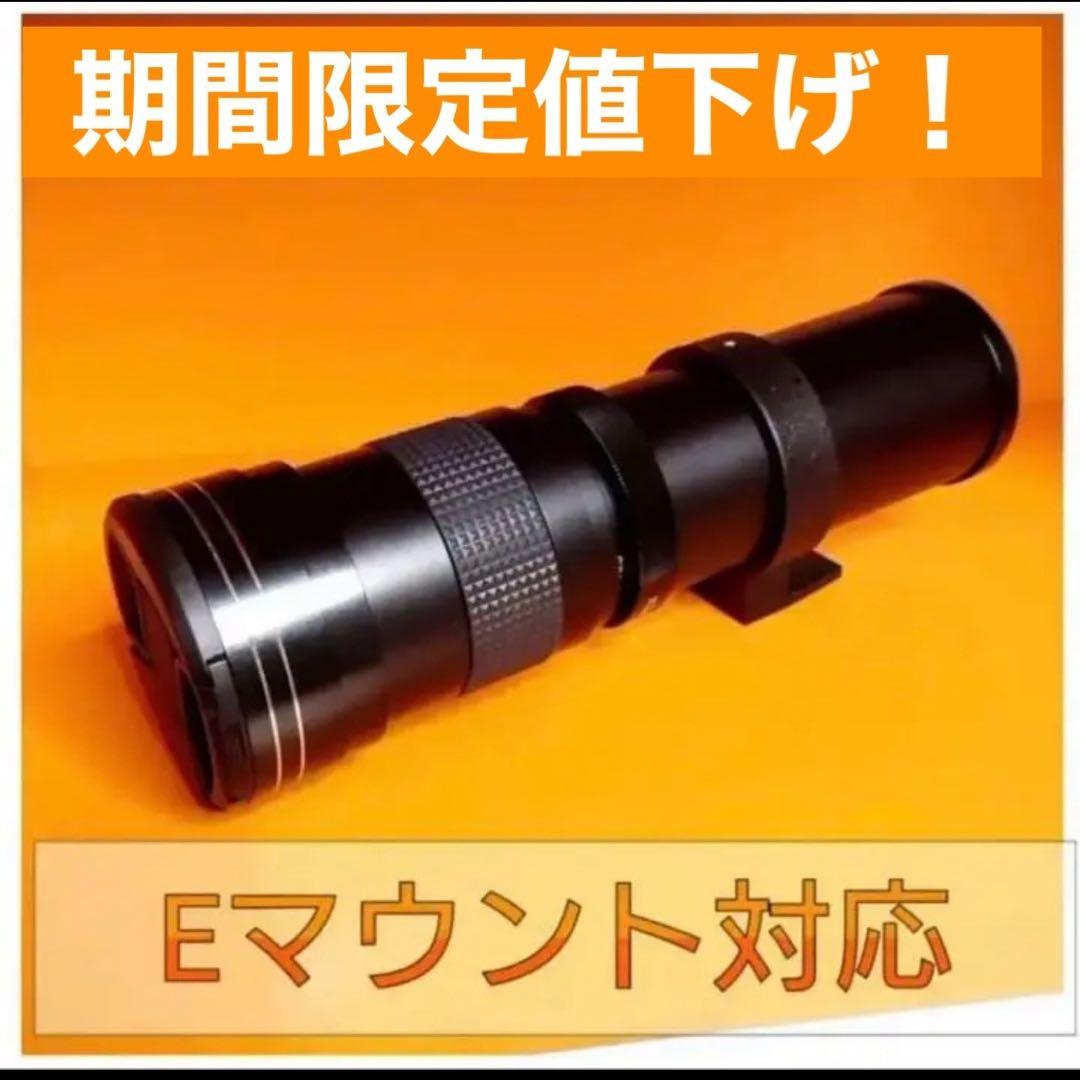 即決OK！カメラ初心者OK！SONYミラーレスカメラをお持ちの方におすすめレンズ