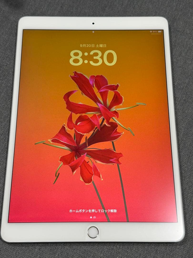 iPad pro 10.5インチ ペンシル付き 64GB シルバー