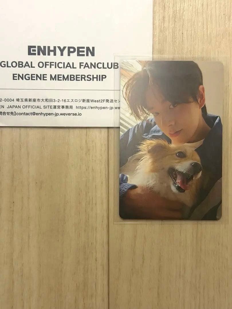 ENHYPEN　アンケート特典　ジェイク　トレカ