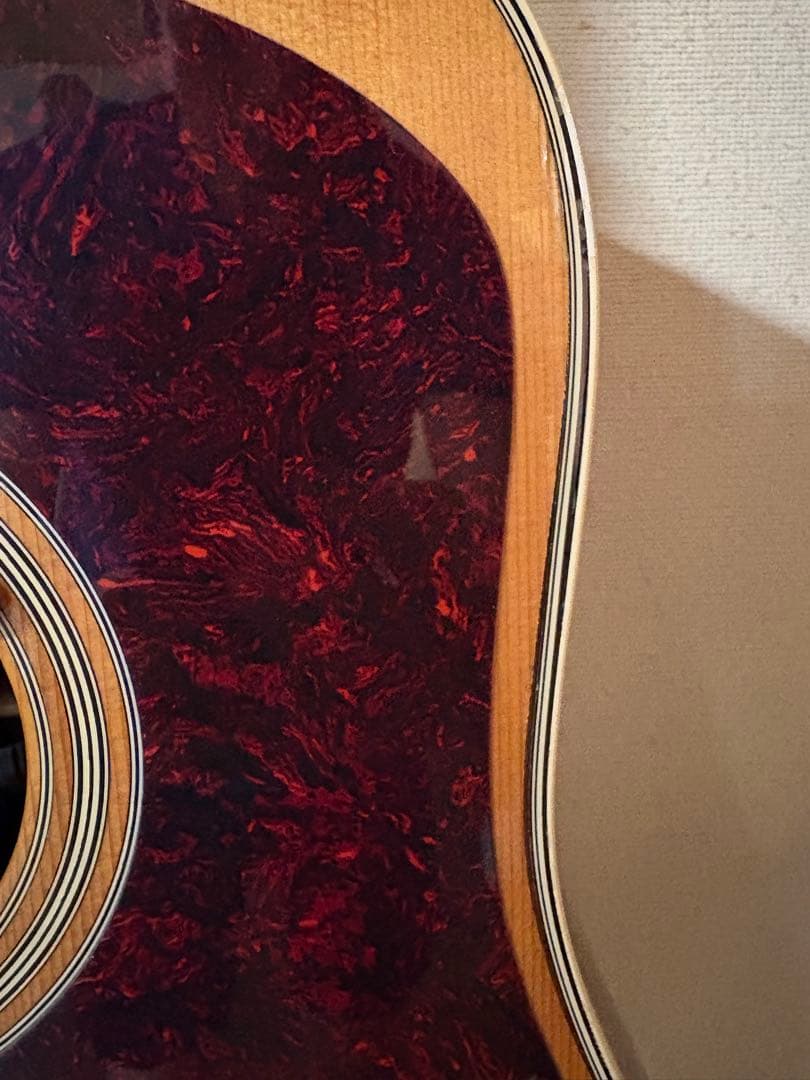 Martin & Co. D-35 レスターフラット