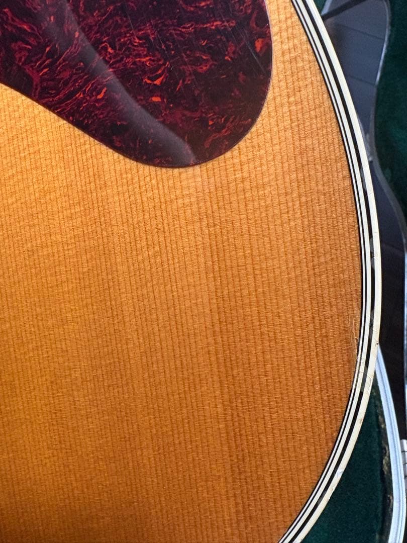 Martin & Co. D-35 レスターフラット