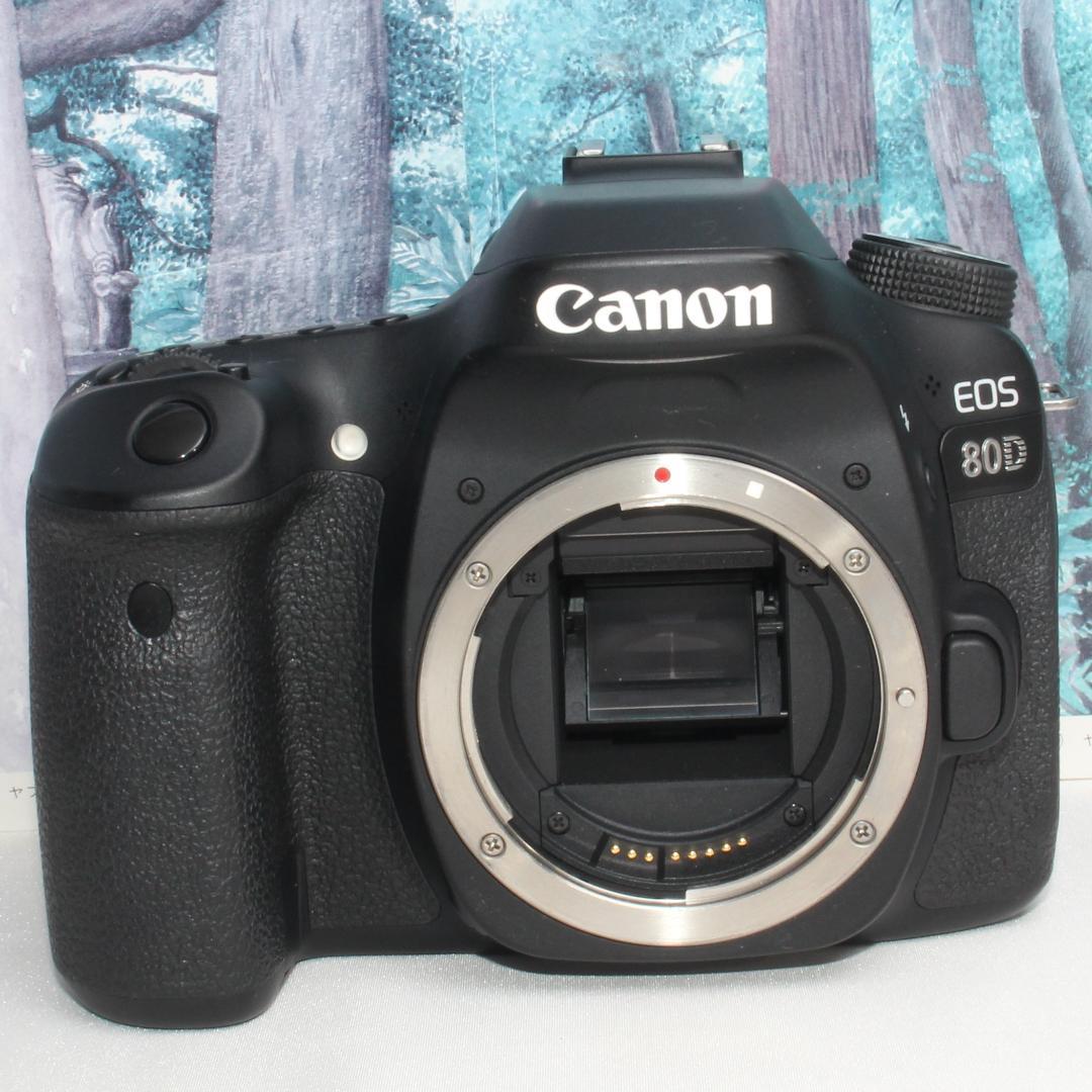 ❤️高性能モデル❤️Canon EOS 80D 遠近両用レンズセット