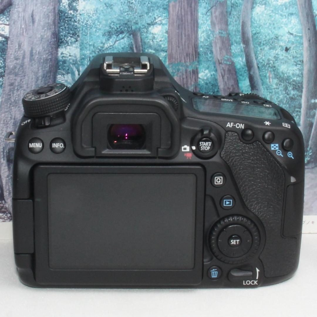 ❤️高性能モデル❤️Canon EOS 80D 遠近両用レンズセット