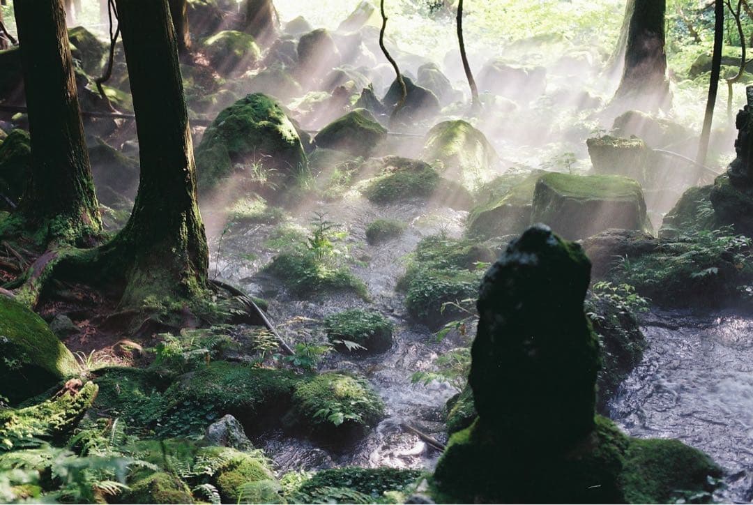 Nikon FM2 AF Nikkor レンズ付き