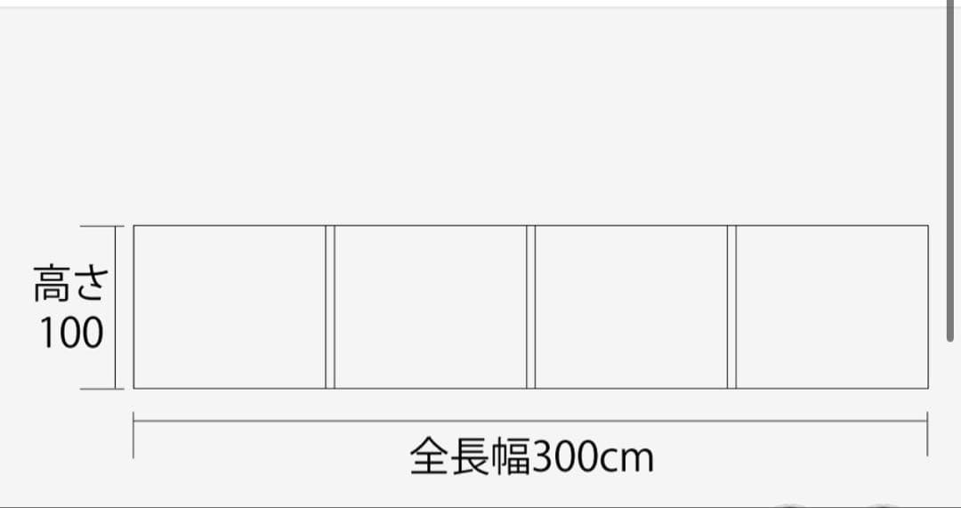 めだかおじさんサーカスTCBIG