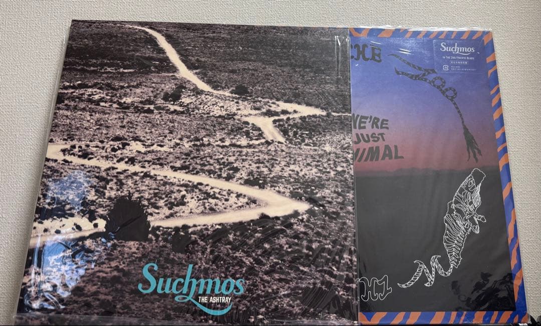 Suchmos THE ASHTRAY ・IN THE ZOOレコード2枚セット