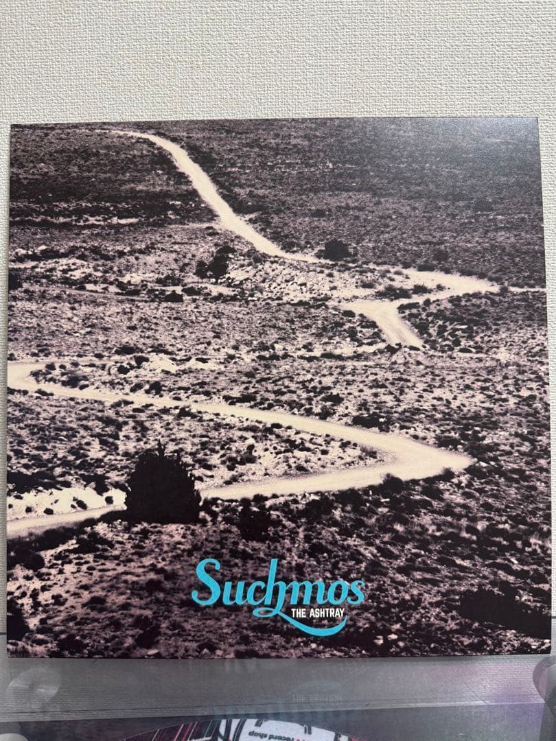 Suchmos THE ASHTRAY ・IN THE ZOOレコード2枚セット