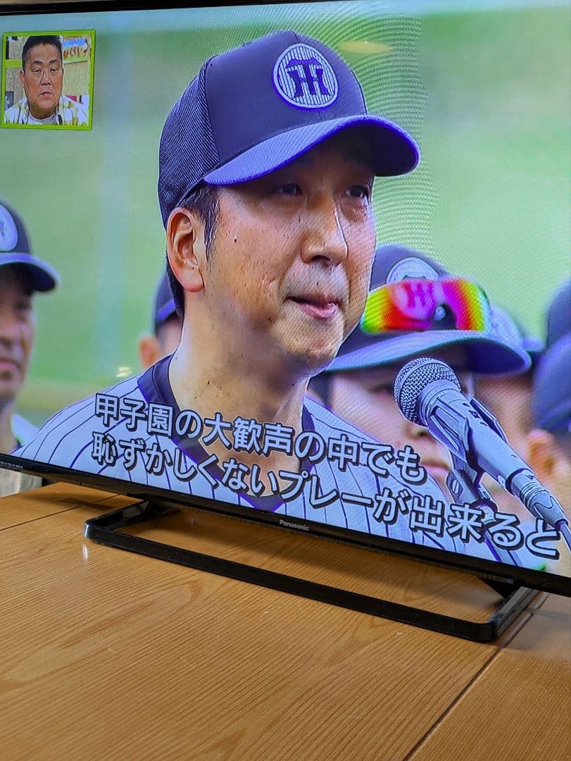 【美品】Panasonic VIERA TH-49D300 液晶テレビ 送料込