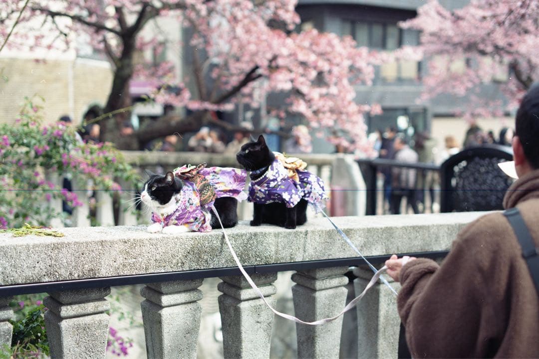 ASAHI PENTAX 67 中判カメラ