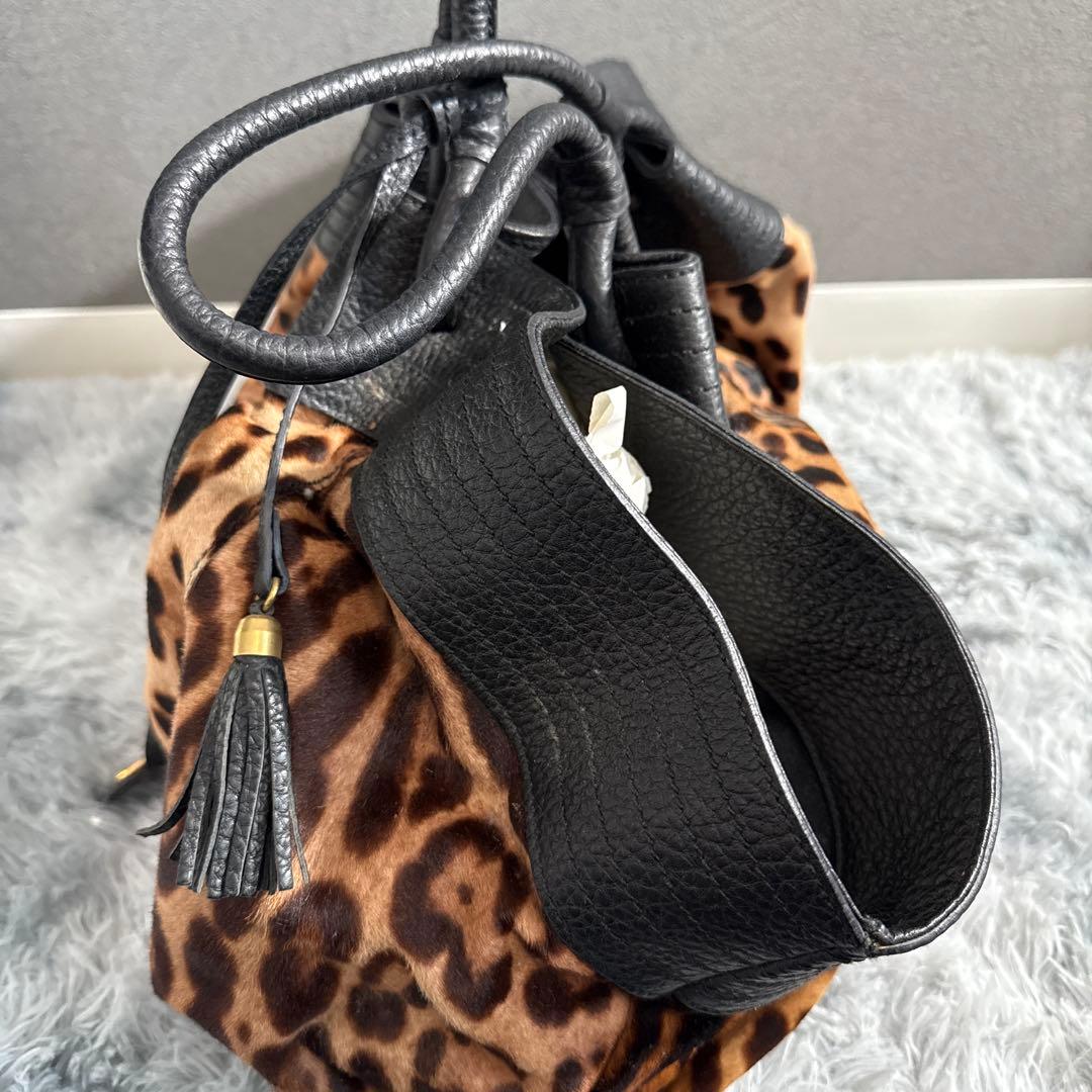 DOLCE &GABBANA レオパード　バッグ