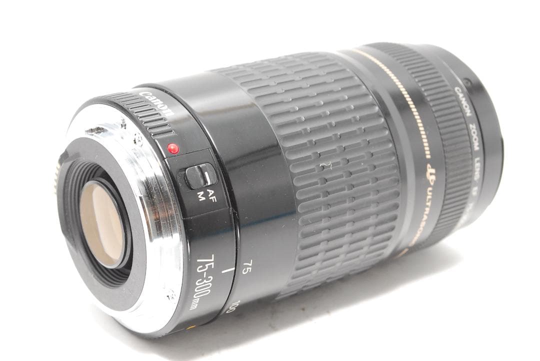 【作例あり】Canon EF 75-300mm 動作良好 軽量で扱いやすい