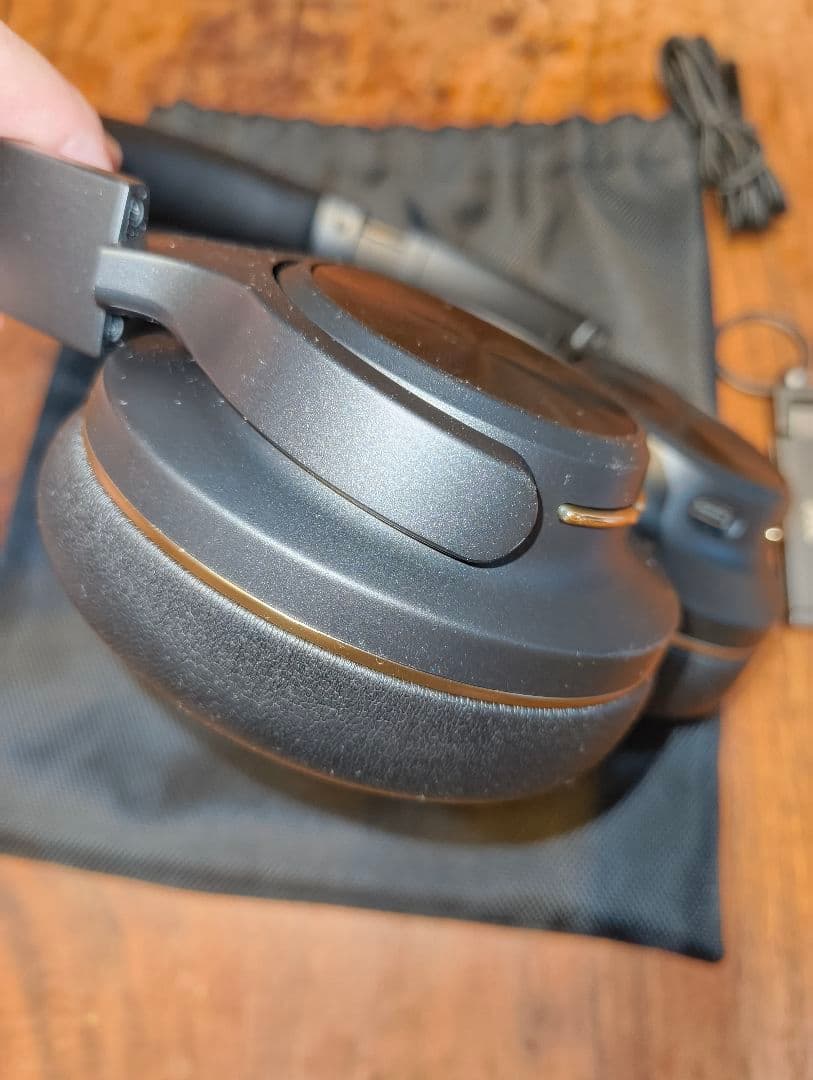 ら*様 AVIOT WA-V1-PNK ピッドホン3 ピエール中野監修モデル