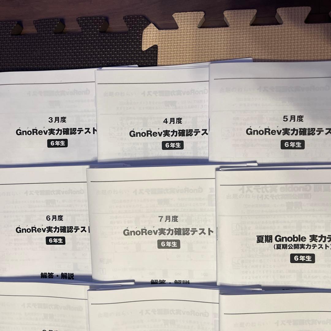 【全10回分】 6年生 グノーブル グノレブ 実力確認テスト