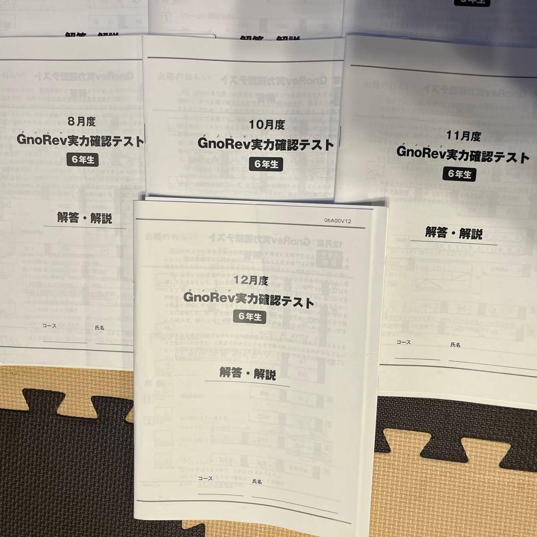 【全10回分】 6年生 グノーブル グノレブ 実力確認テスト