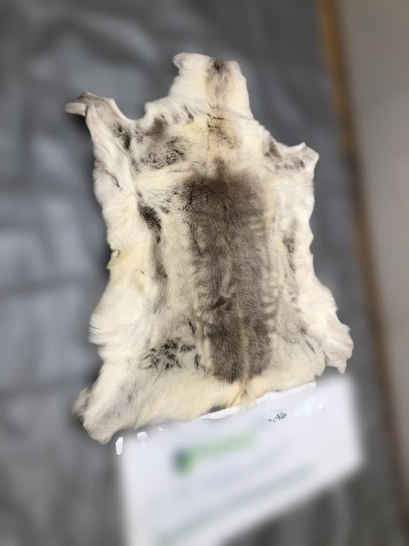 送料無料 POKKA トナカイ ムートン 天然本革 高級毛皮 251113