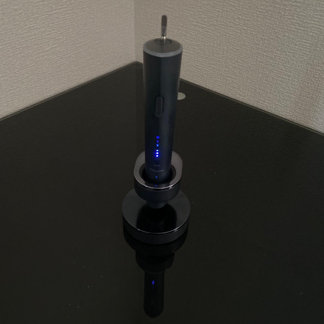 き*ん様 Panasonic EW-DT73-A 音波振動ハブラシ　ドルツ